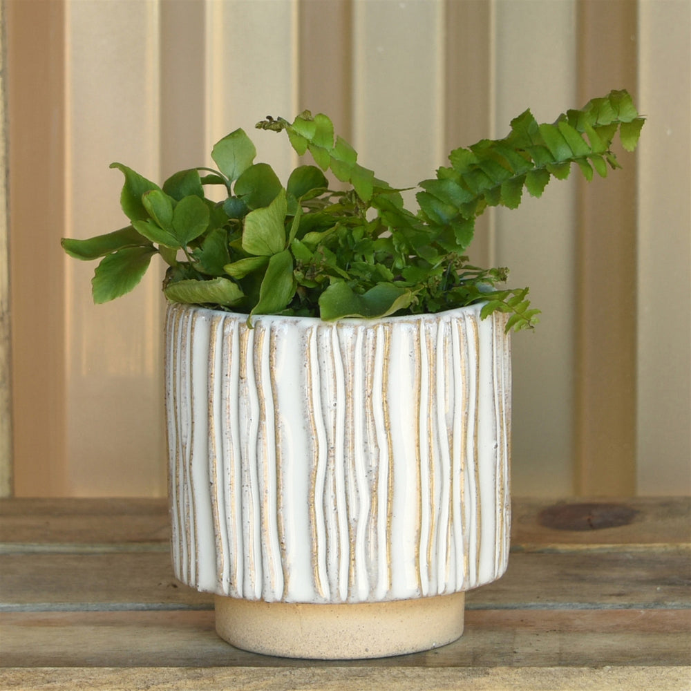 A Vertical Stripe Cachepot from HomArt, featuring a hand-sculpted pattern in a beige and white color scheme, holds a lush green fern plant. This stoneware pot sits on a wooden surface and is ideal for indoor gardening with its neutral-toned background.