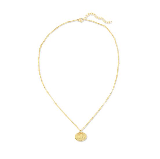 The "Birth Flower January Carnation" by LuckyFeather is a delicate 14k gold-dipped chain necklace featuring a small, round gold pendant that hangs at the center of the adjustable chain. The chain includes a clasp and an extender for customizable length and boasts a subtle, uniform pattern.