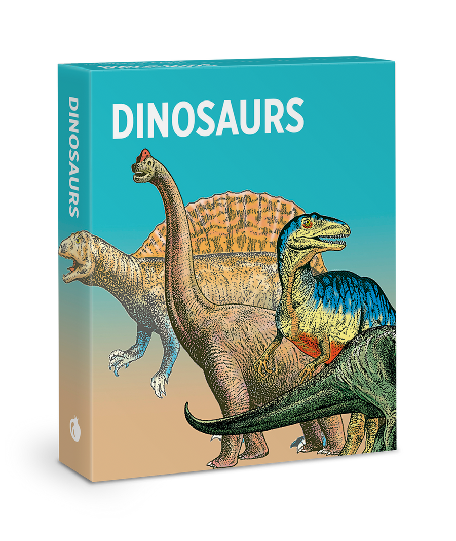 The "Dinosaurs" book cover from Pomegranate features a vibrant array of dinosaur illustrations, highlighting a long-necked dinosaur, a spiky-backed dinosaur, and others with textured, scaly skin set against a gradient blue to beige background. Ideal for anyone intrigued by evolutionary development and seeking to enrich their knowledge cards.