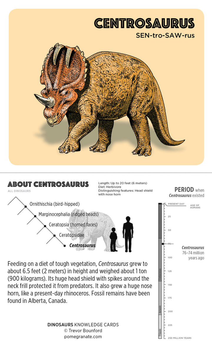 The Pomegranate "Dinosaurs" Knowledge Card infographic offers an illustration and comprehensive description of Centrosaurus, a dinosaur that roamed the Earth approximately 76-74 million years ago. Featuring a prominent horn and frills adorned with spikes on its head, the card provides detailed insights into the dinosaur's physical characteristics, dietary habits, and classification details.