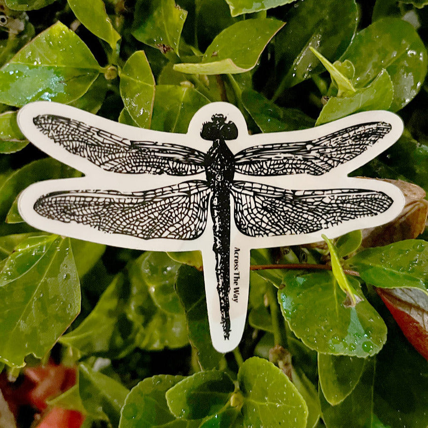 A black and white StickerMule Dragonfly Sticker is placed on green, wet leaves. The intricate design showcases detailed wings and body. The text "Across The Way" is written vertically on the dragonfly's body.