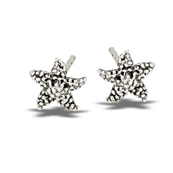 Starfish Earrings