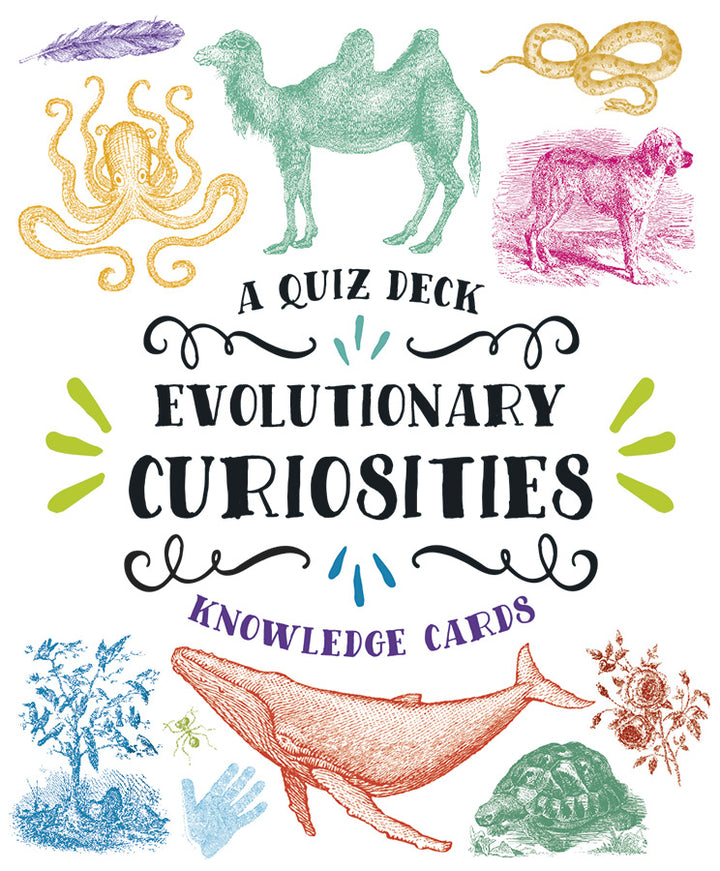 An illustrated cover for "Evolutionary Curiosities Knowledge Cards" by Pomegranate showcases detailed drawings of an octopus, camel, snake, dog, tree, whale, and turtle. The vibrant text proudly displays "Evolutionary Curiosities Knowledge Cards," perfect for independent learning and exploration.