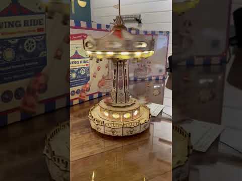 Electro-Mechanical Wooden Puzzle: Swing Ride