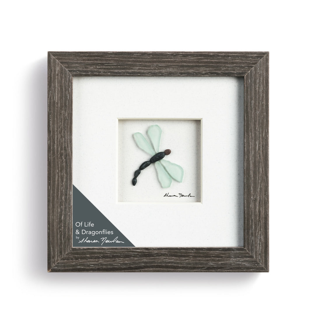 Dragonflies 6x6