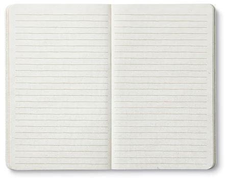 An open blank "Find what brings you joy" notebook by COMPENDIUM showing two pages with horizontal lines. The notebook lies flat, displaying its lined pages ready for writing bold sentiments. The pages are clean and white, with no visible text or drawings.