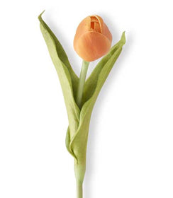 Real Touch Tulip Orange