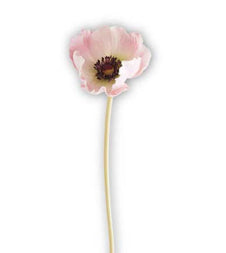 A lone Real Touch Poppy Pink from zzzK&K Interiors, featuring a dark center and a long, slender stem, set against a white background.